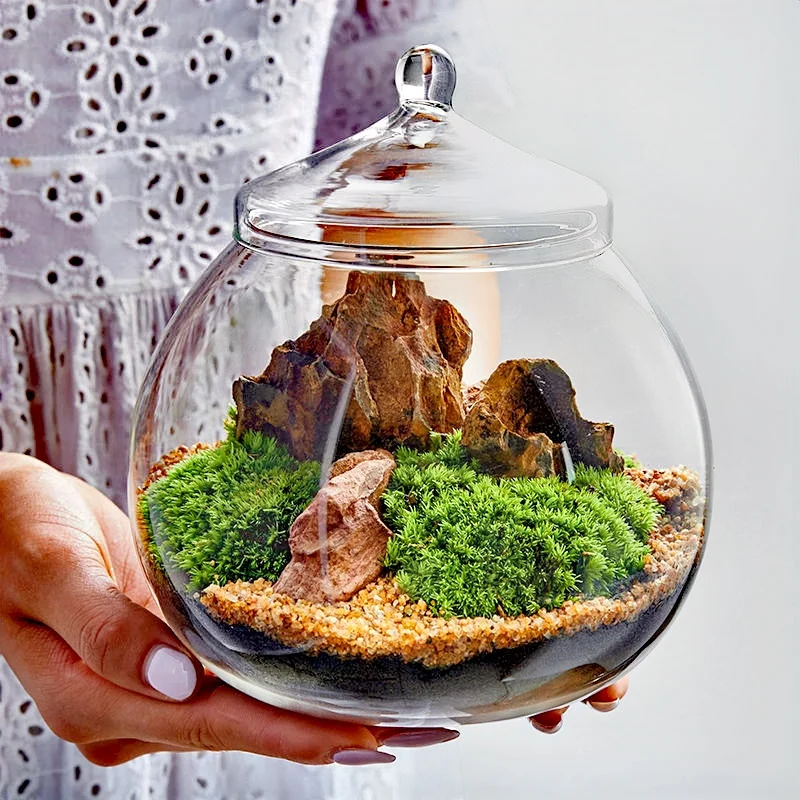 Moss Ball Vase