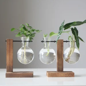 Elegant Glass Terrarium Vase for Hydroponic Plants and Bonsai